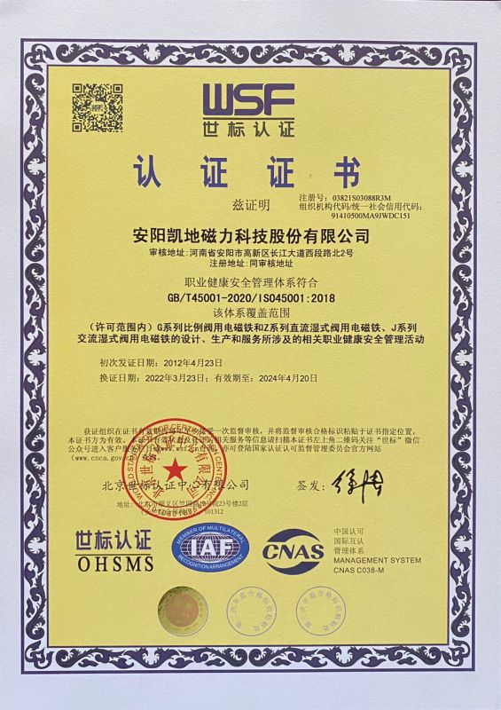 職業健康 中文